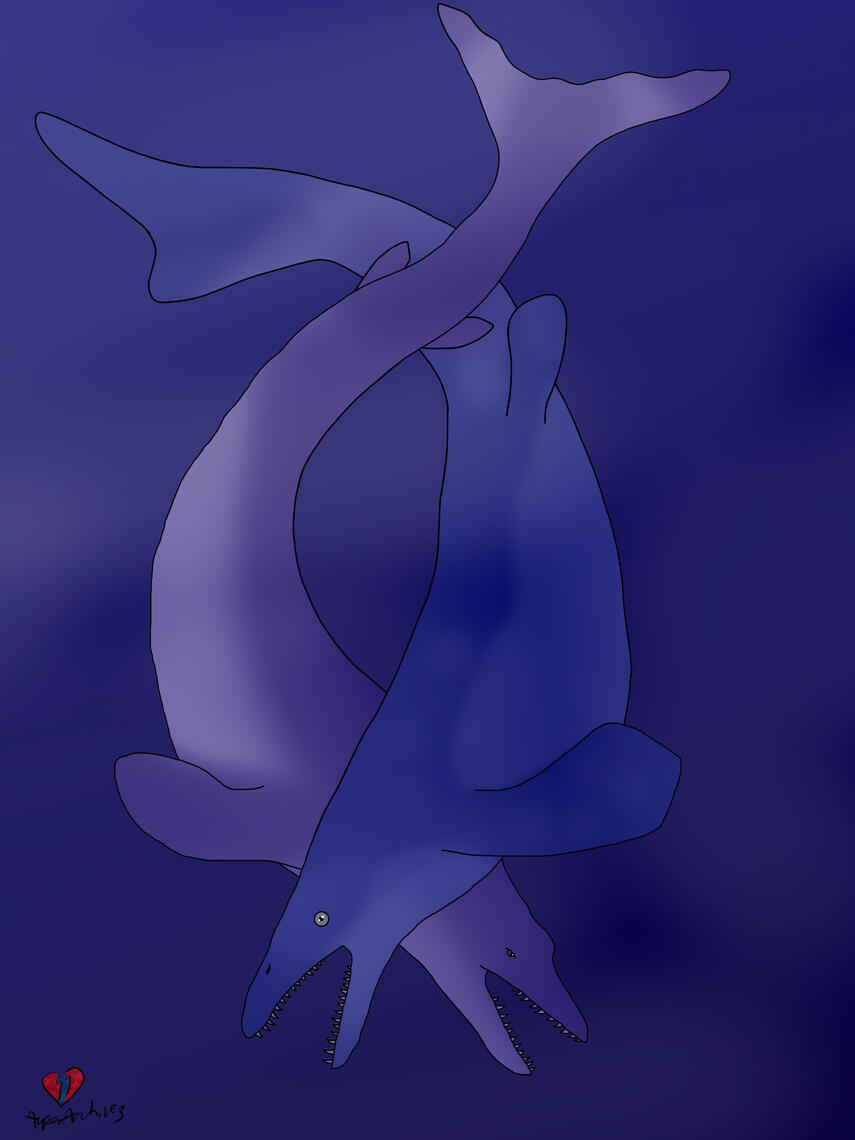 A simple illustration I made of Mosasaurus and Basilosaurus